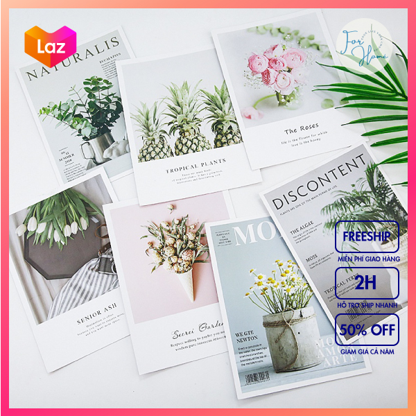 Tấm Bìa, Poster Tạp Chí Phụ Kiện Chụp Ảnh Lookbook, Trang Trí Sản Phẩm