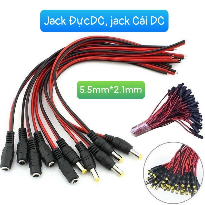 Jack đực, Jack cái DC loại tốt