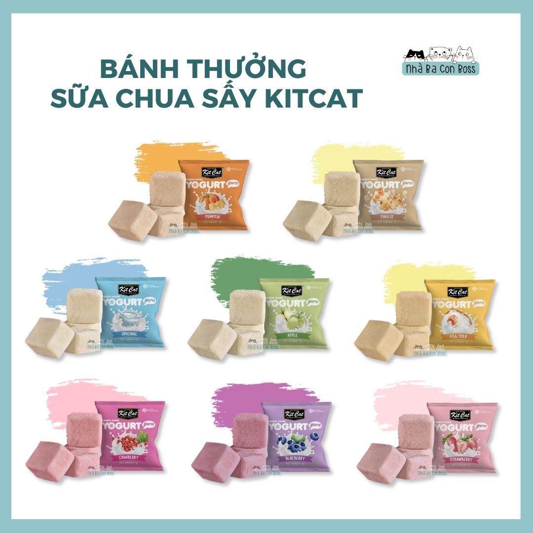 Sữa chua sấy thăng hoa cho mèo Kitcat 10g