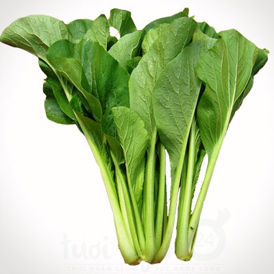 300h - #hạt_giống_cải_ngọt