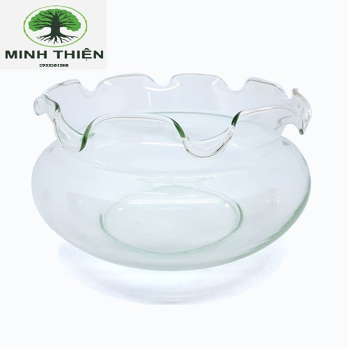 [HCM]Bể Cá Thủy Tinh Chậu Cây Hồ Cá Miệng Bèo B20 D17CM x 14CM