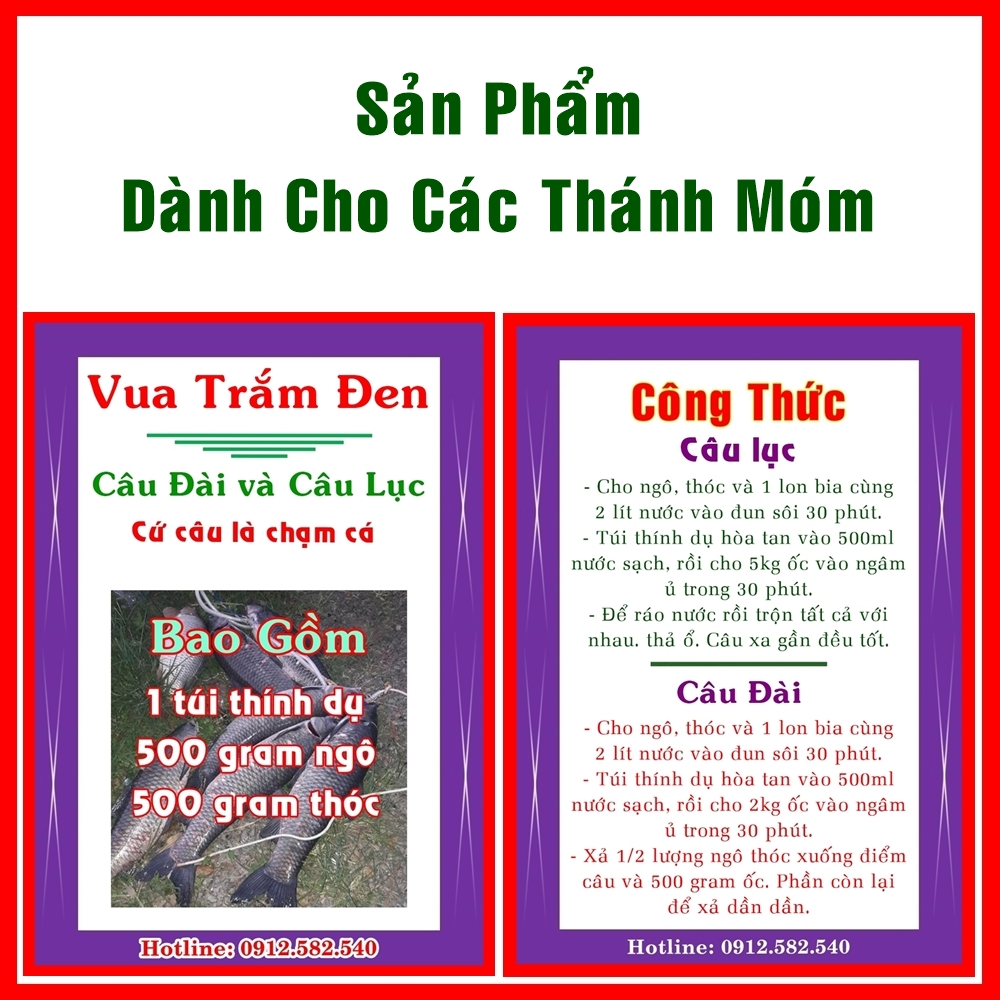 Thính trắm đen. Vua trắm đen. Cực kỳ uy tín. Câu là chạm