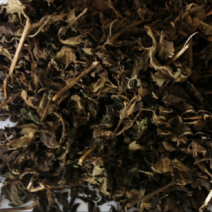 Cây hoắc hương 1kg