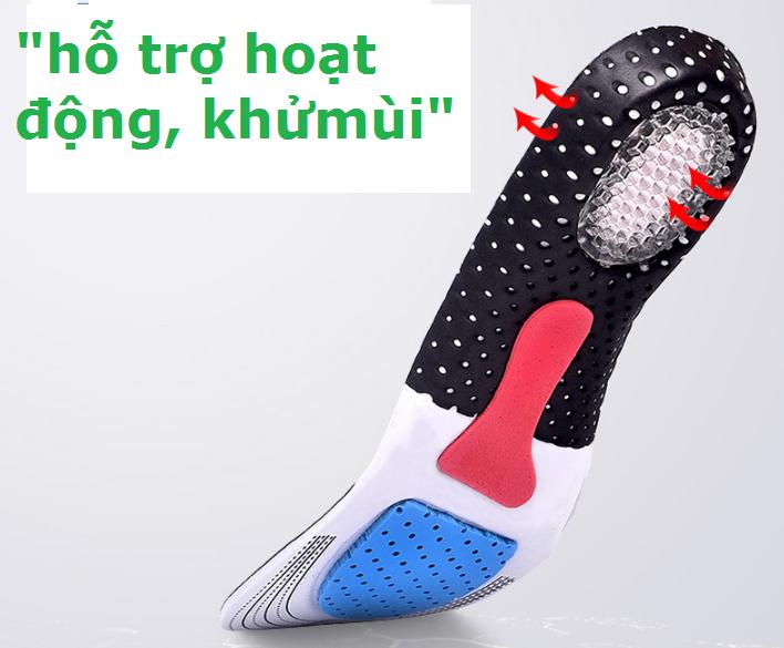 Lót giày thể thao cao cấp