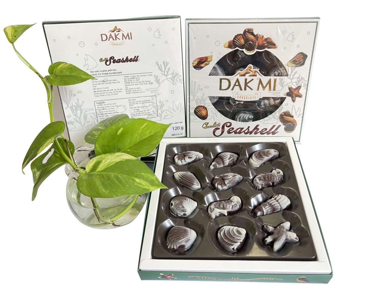 [ ĂN LÀ NGHIỆN ] Sôcôla Seashell Dakmi - Sôcôla sữa hình những chú sò biển, dạng hộp 240gr