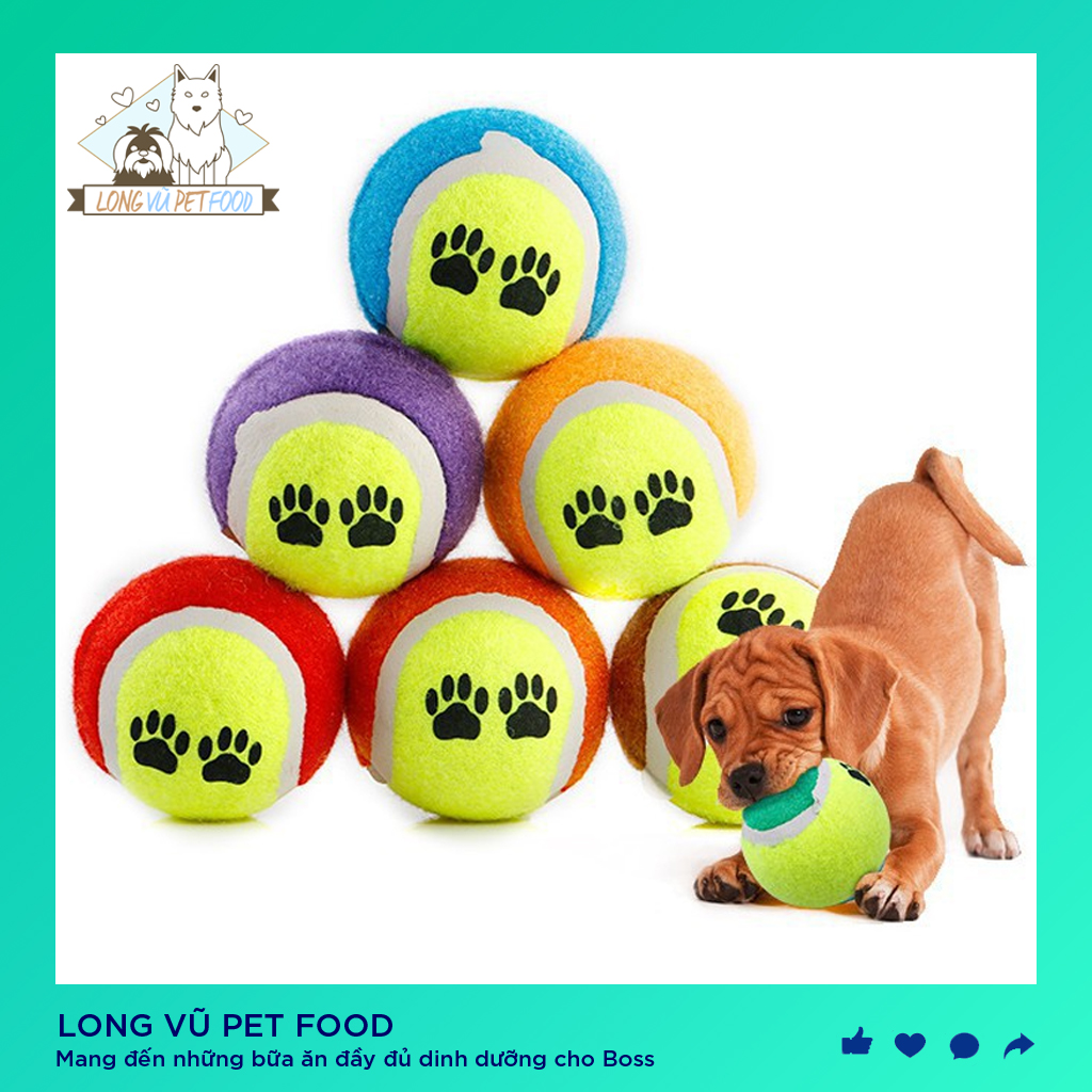 Bóng tenis đồ chơi cho chó mèo, đồ chơi cho chó, đồ chơi cho mèo, đồ thú cưng - Long Vũ Pet Food