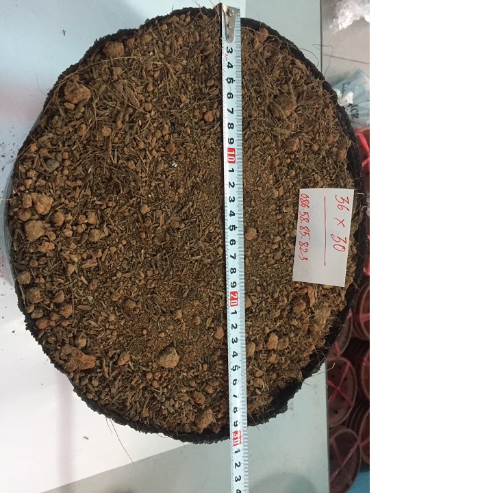 1kg bịch bầu ươm cây cỡ 36x30