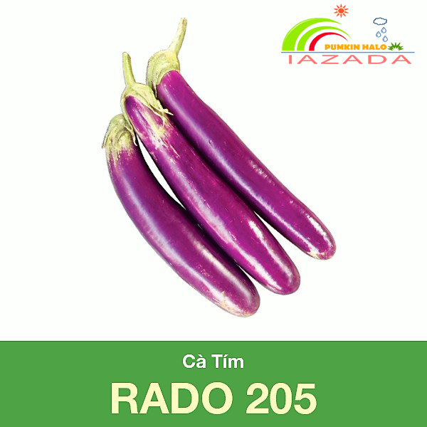 Hạt Giống Cà Tím Dễ Trồng, Năng Suất Cao-Gói 0.5gram .