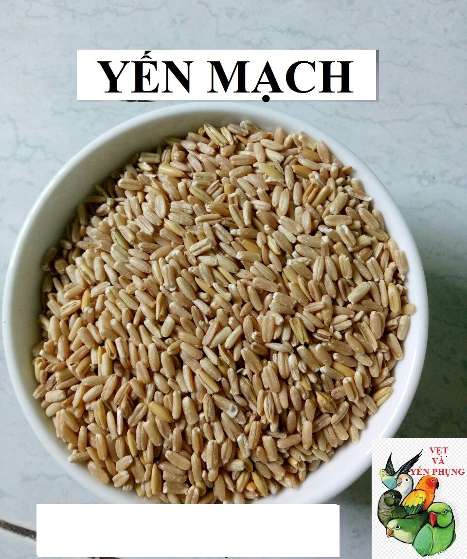 100G HẠT YẾN MẠCH ĐÃ BÓC VỎ CHO CHIM,VẸT,HAMSTER VÀ THÚ CƯNG