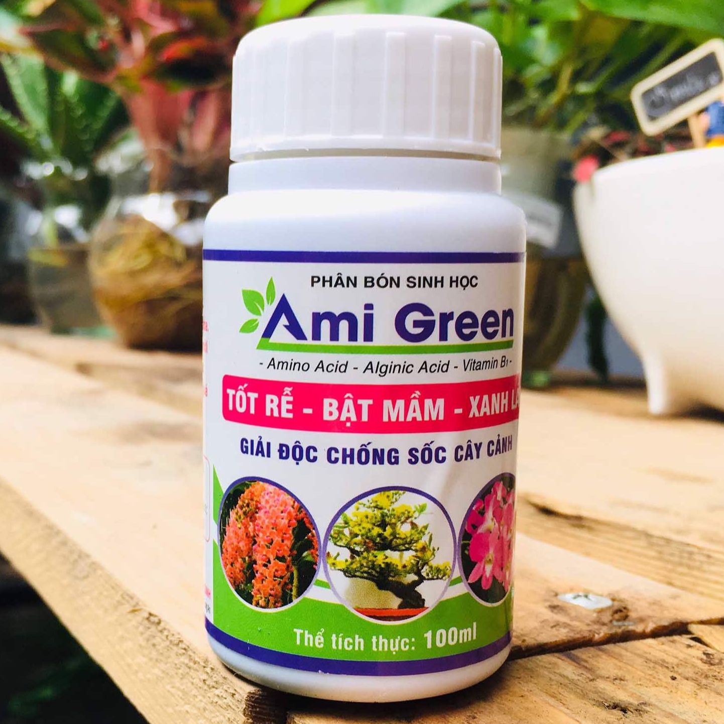 Phân bón lá sinh học ami green - phân bón sinh học ami green - tốt rễ bật mầm xanh lá