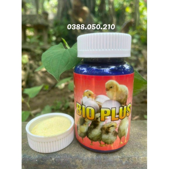 Bio Plus Úm Gà Con - tăng sức đề kháng, khỏe mạnh, lớn nhanh