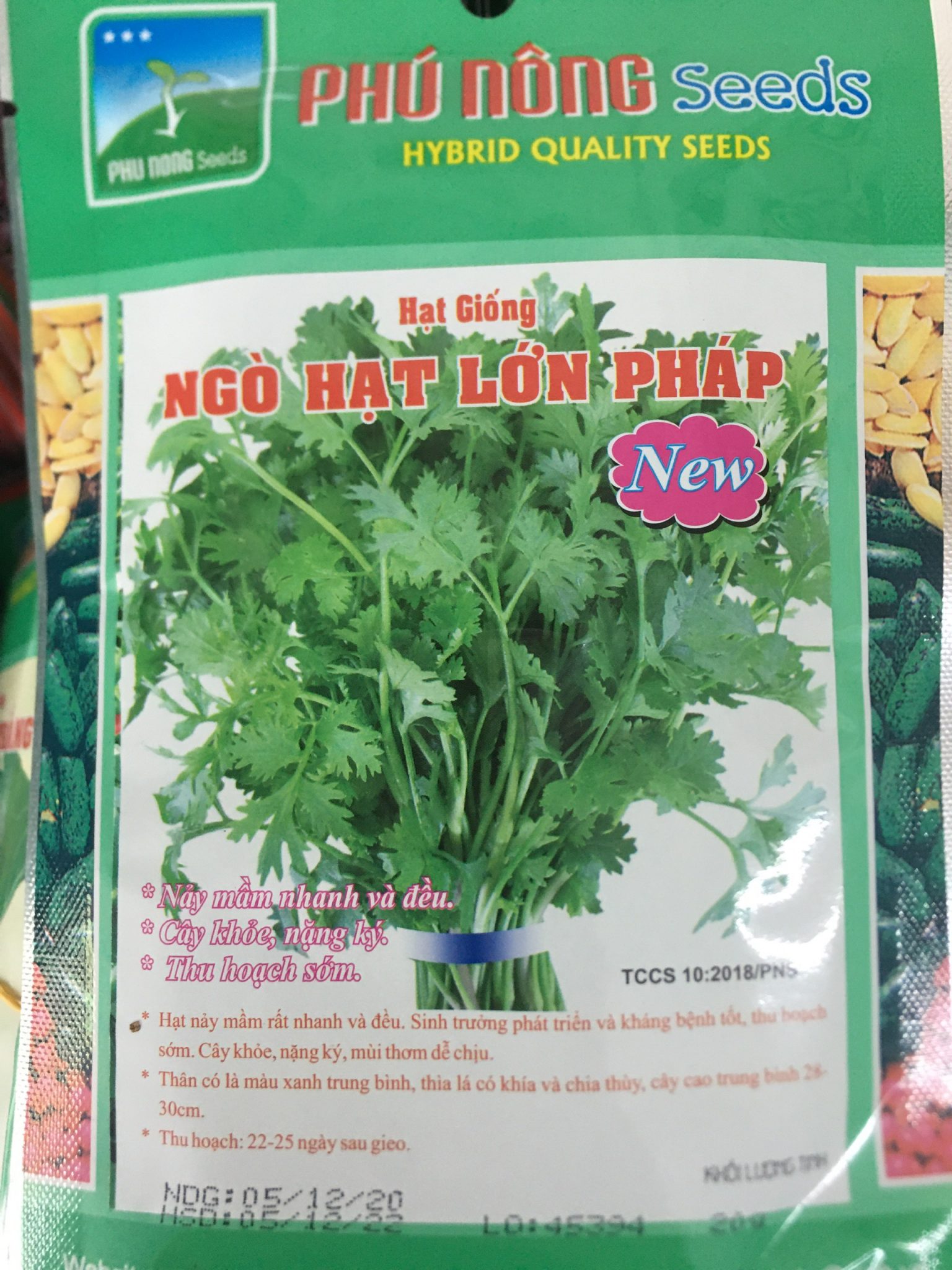 Ngò hạt lớn pháp 20g phú nông