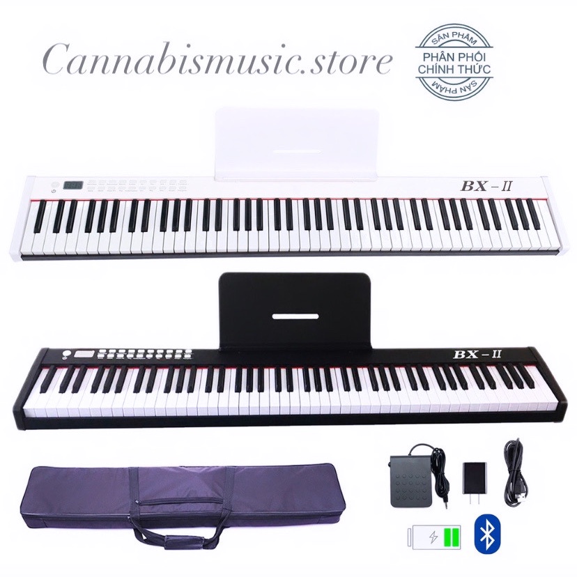 Đàn piano điện bora bx-ii - 88 phím nặng cảm ứng lực bx-02 - midi keyboard controllers bx2