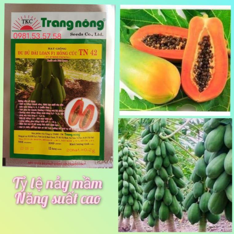 20 hạt giống đu đủ lùn f1 trang nông
