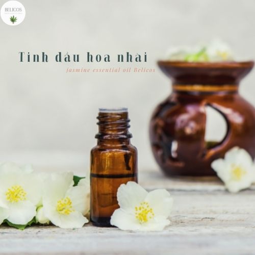 Tinh Dầu Hoa Nhài Thiên Nhiên Nguyên Chất