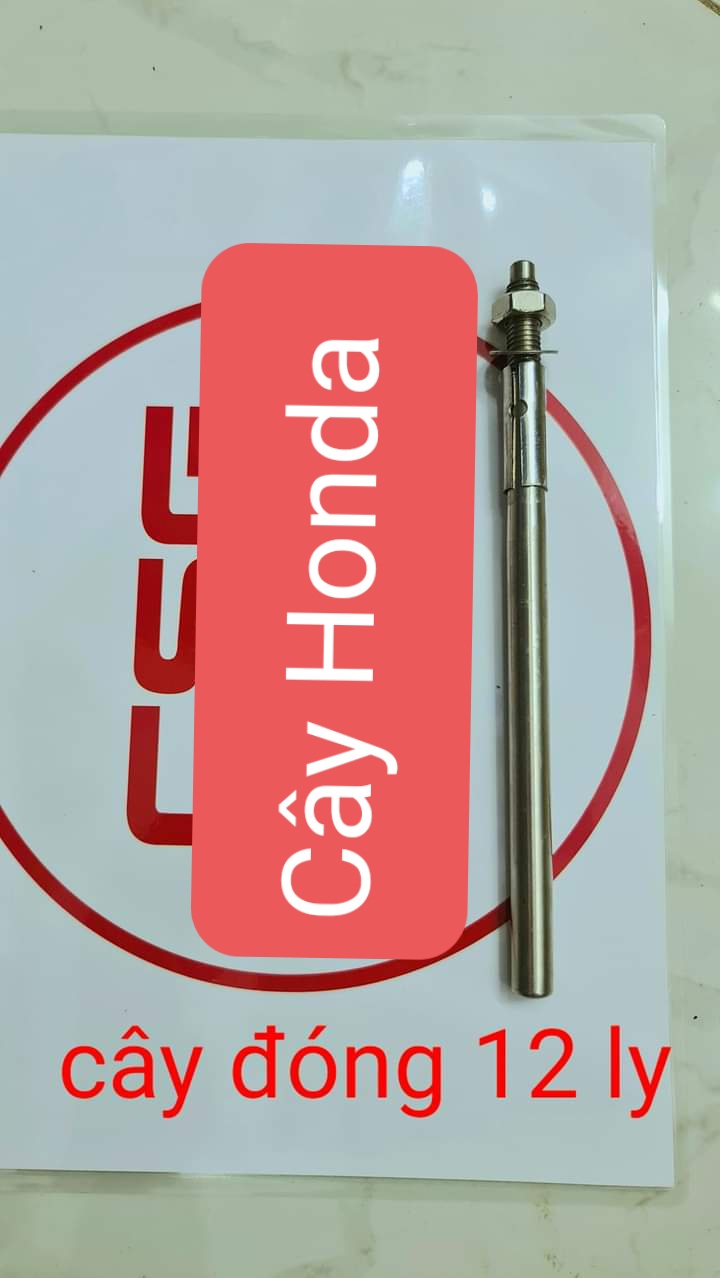 Cây đóng bạc đạn ra