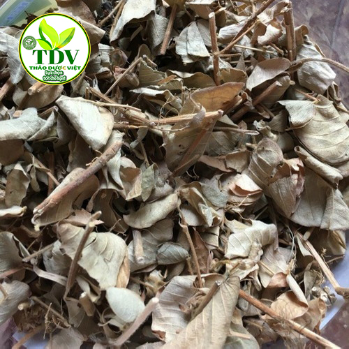 1kg Kim tiền thảo