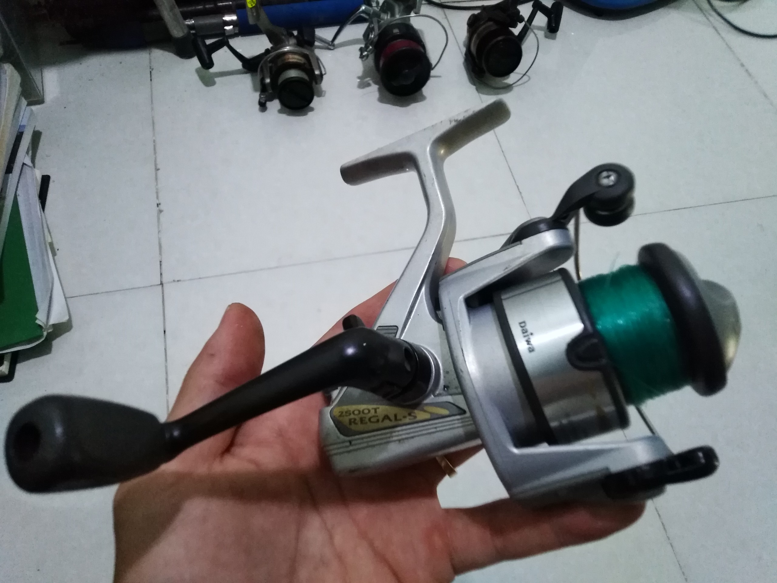 Máy câu bãi nhật Daiwa Regal-S size 2500