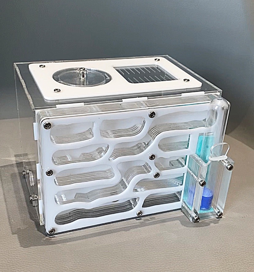 Tank kiến , ổ kiến , nhà cho kiến, nuôi kiến s11