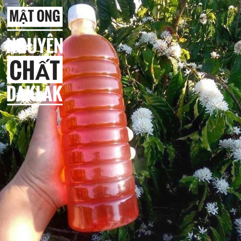 Mật ong nguyên chất đăklak chai 1l