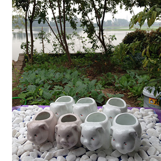 Combo 5 chậu sứ mini Bát Tràng hình thú cưng bất kỳ + Tặng túi đất trồng cây và sỏi trang trí