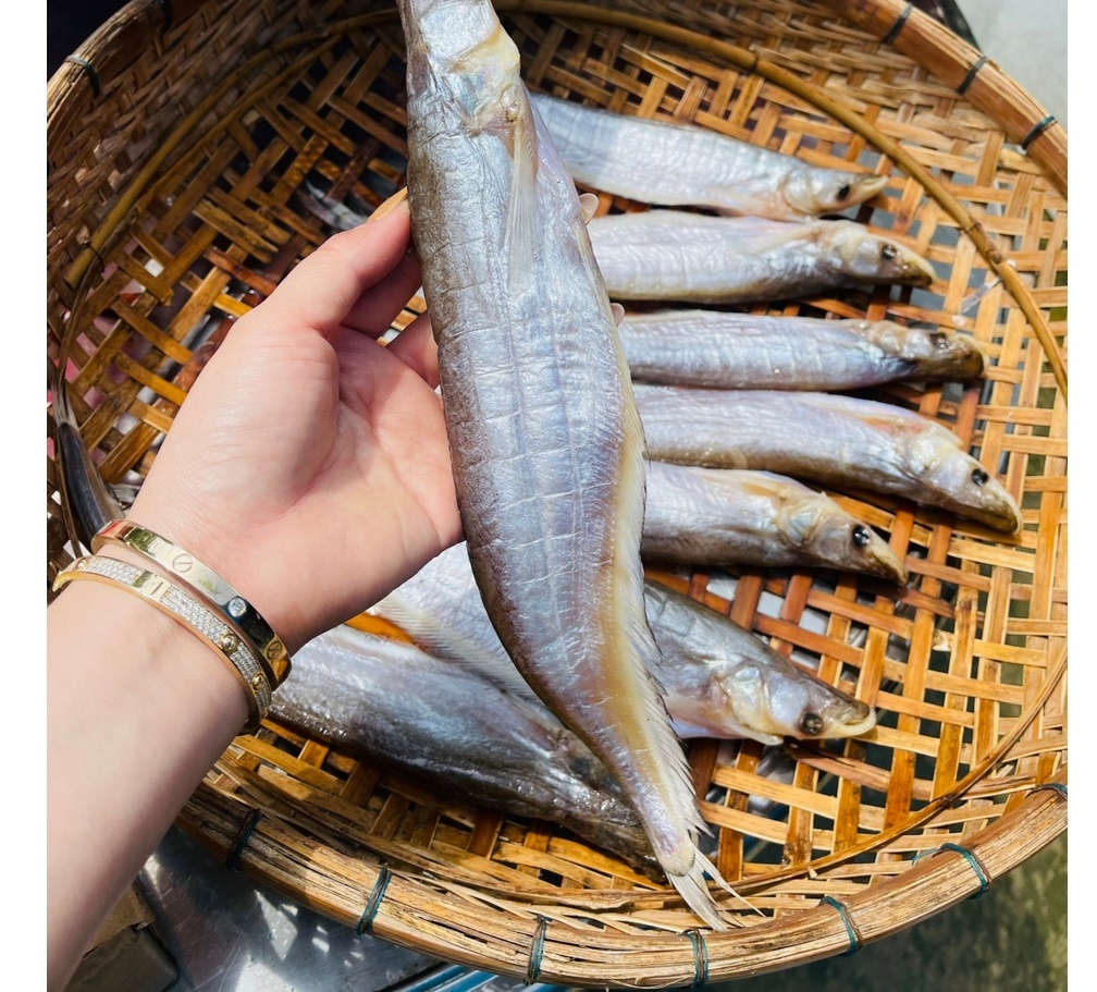 1kg Khô cá trèn -khô cá kết - thịt cá ngọt rất đậm, thanh, thơm đến lạ lùng Khô cá trèn- Vựa Khô Nam Thiên