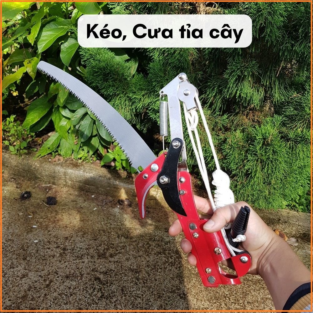 Kéo cắt cành, kéo tỉa cành trên cao, kết hợp với lưỡi cưa cắt cành, cưa tỉa cành cây cao, hái quả tiện lợi