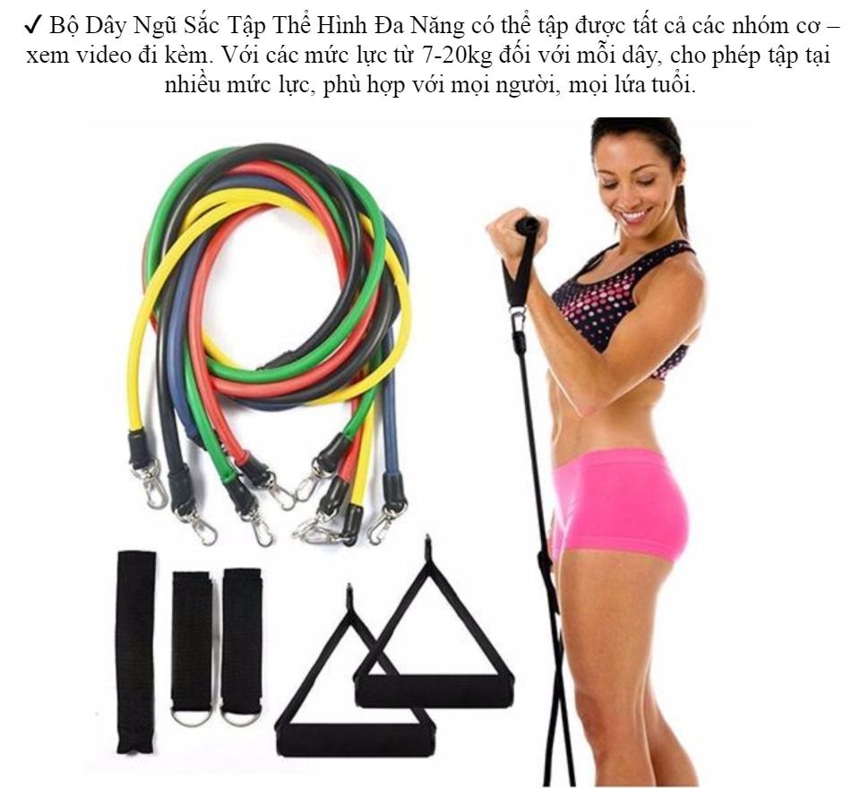 Dụng cụ tập cơ bụng, eo vai thon gọn - Bộ 5 dây ngũ sắc đàn hồi cao cấp kháng lực, Dung cu tap co bung, eo vai thon gon - Bo 5 day ngu sac dan hoi cao cap khang luc