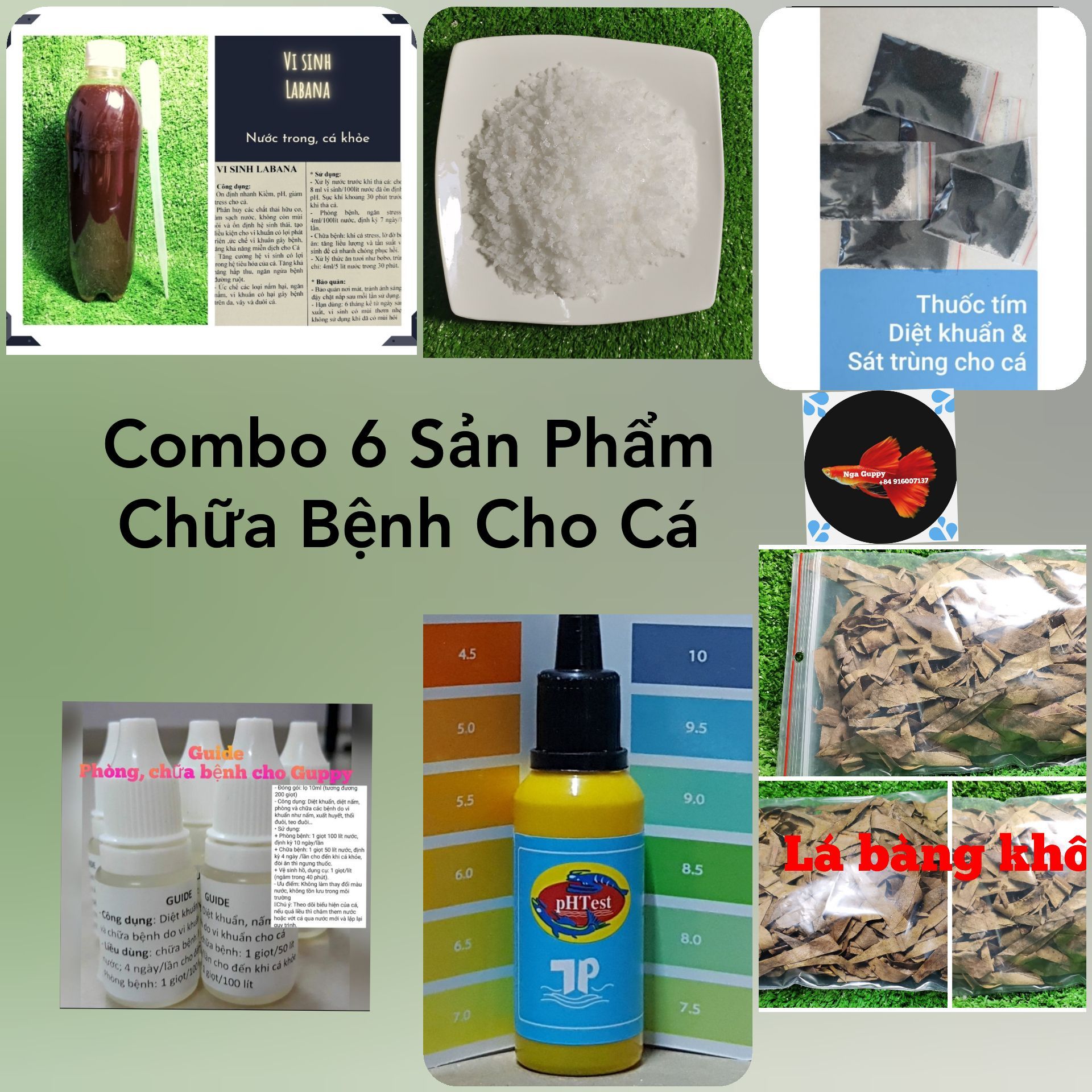 [HCM]Combo 6 Sản Phẩm -  Vi Sinh Dung Dịch Đo pH  - Nuôi Cá Cảnh - Nga Guppy