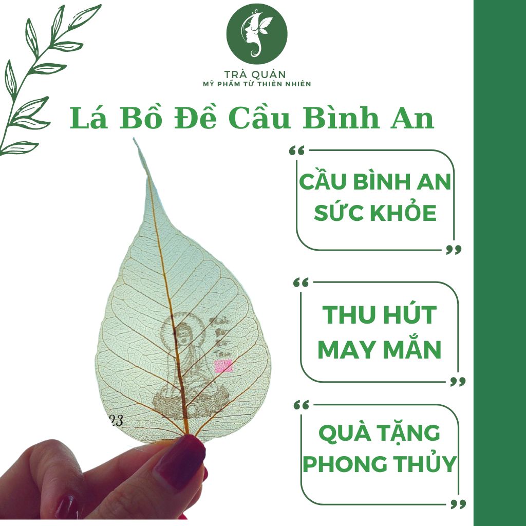 Lá bồ đề cầu bình an, thích hợp làm quà tặng phong thủy