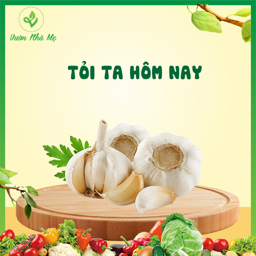 [Giao nội thành Hà Nội] Tỏi khô ta Vườn Nhà Mẹ - Gia vị tươi, sạch, chuẩn VietGap