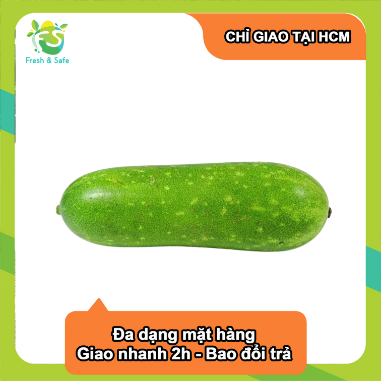 [Chỉ Giao HCM] Bí Đao - 500g