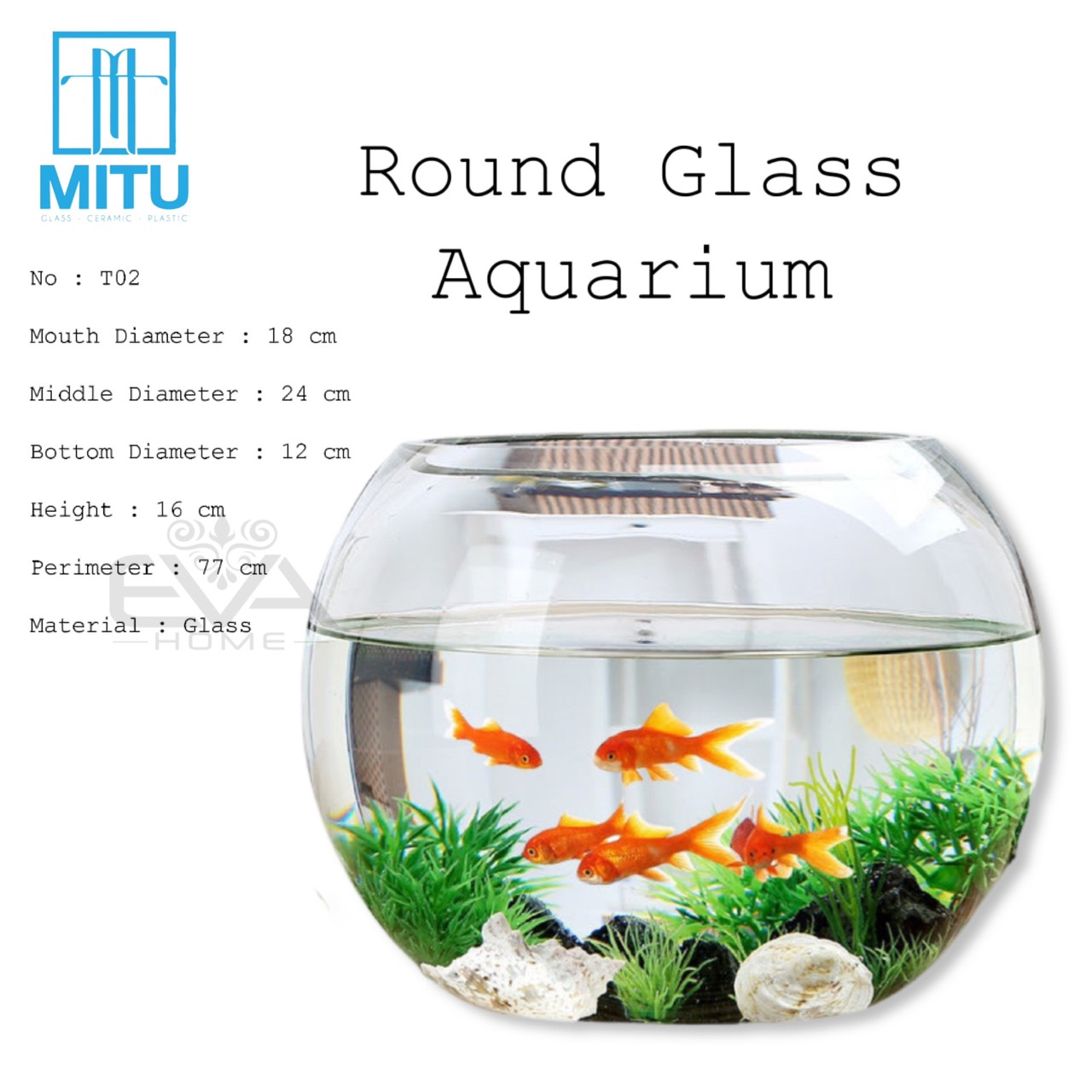 Chậu thuỷ tinh dùng làm hồ cá bể cá để bàn dáng tròn bầu t02 round glass aquarium size 24 x 16 cm