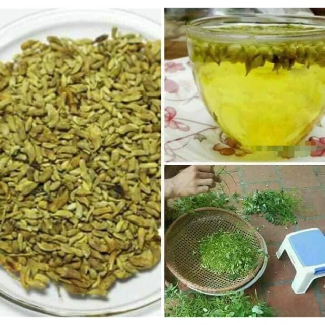 1 BỊCH HOA HÒE KHÔ SẠCH,HÀNG LOẠI 1, CAM KẾT CHẤT LƯỢNG
