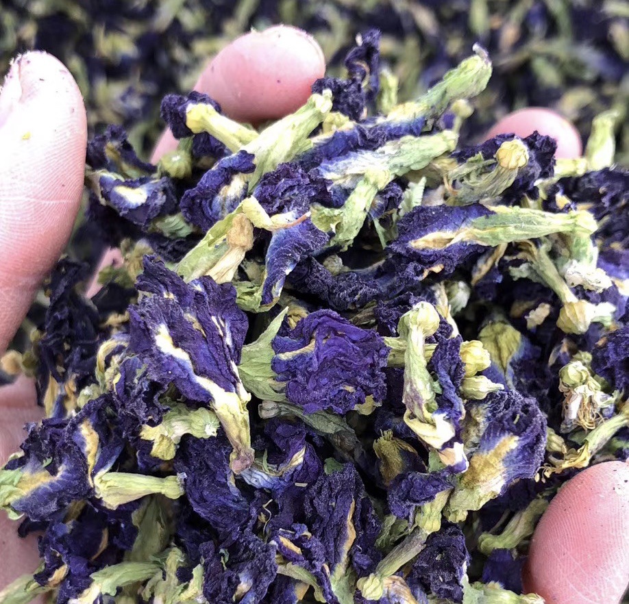 Trà Hoa Đậu Biếc Sấy Khô 100gr Nhà Trồng