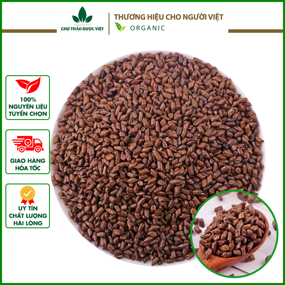 Thảo quyết minh khô 100g, hạt muồng muồng, to, sạch, giúp thanh nhiệt, sáng mắt, nhuận tràng