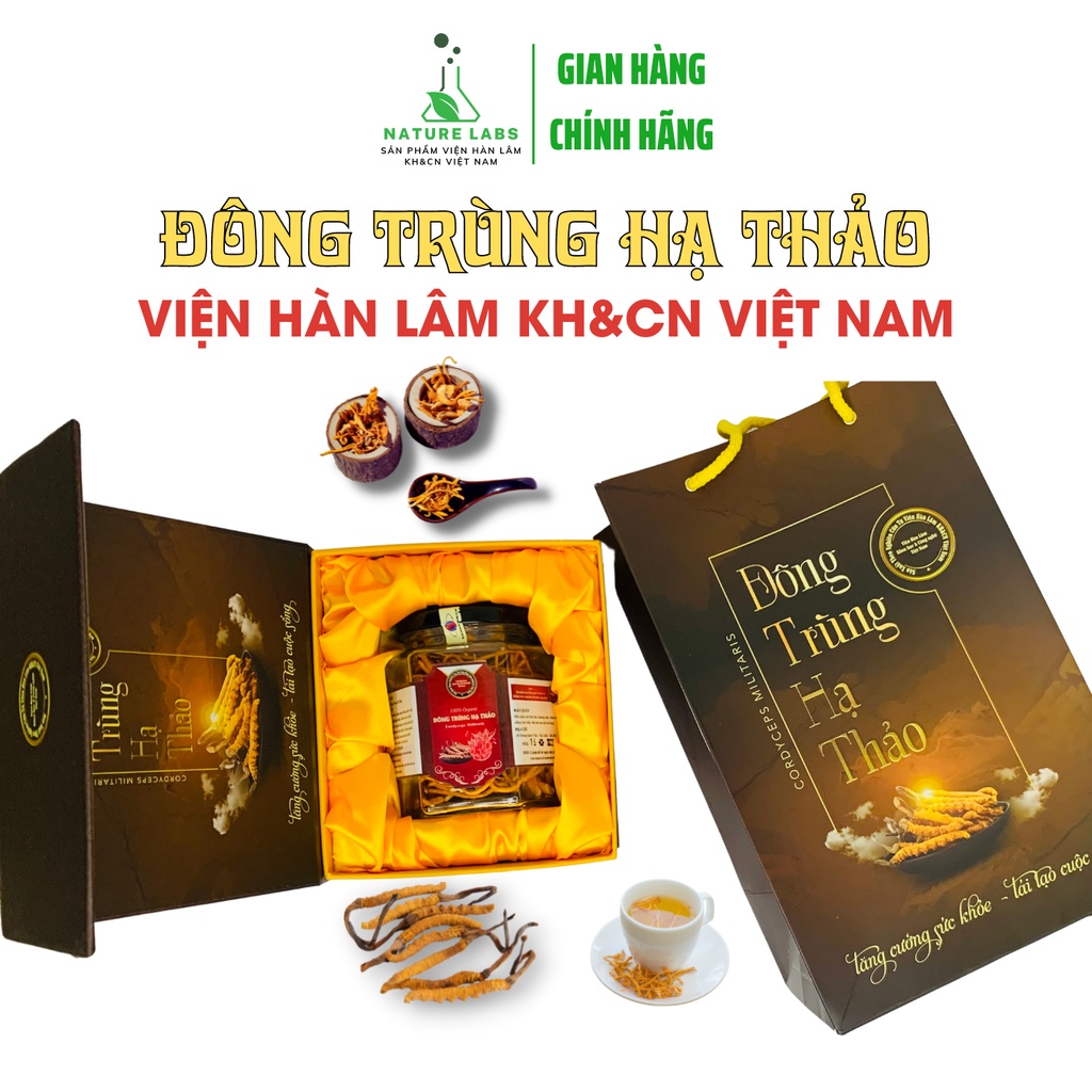 Quà Tết cao cấp, Đông trùng hạ thảo khô nguyên con sấy thăng hoa nấm tươi Viện Hàn lâm KH&CN Việt nam Nature Labs