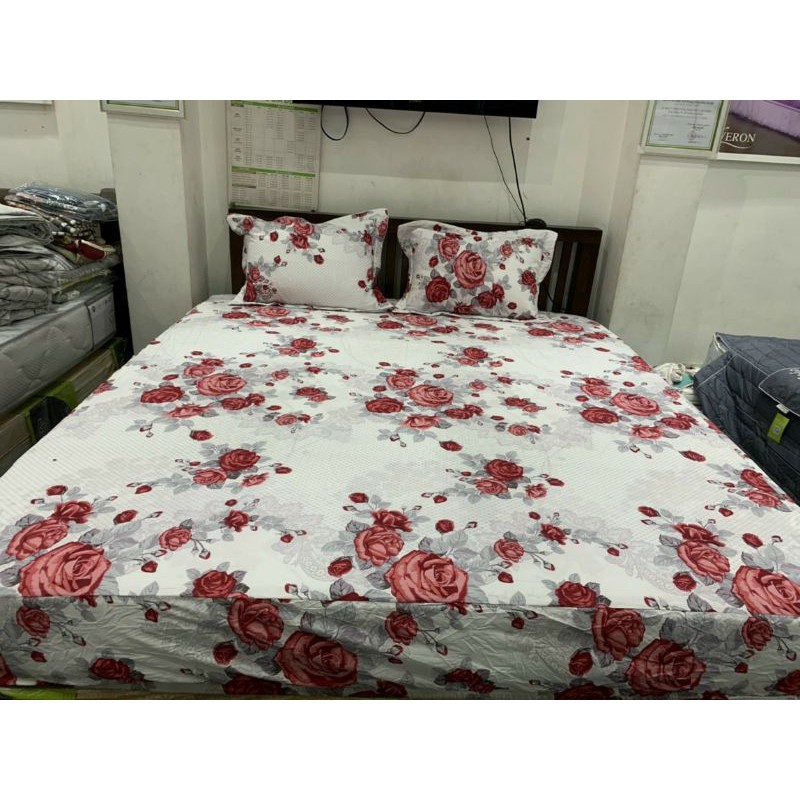 Bộ ga chun Everon SR16 kích thước 200*220