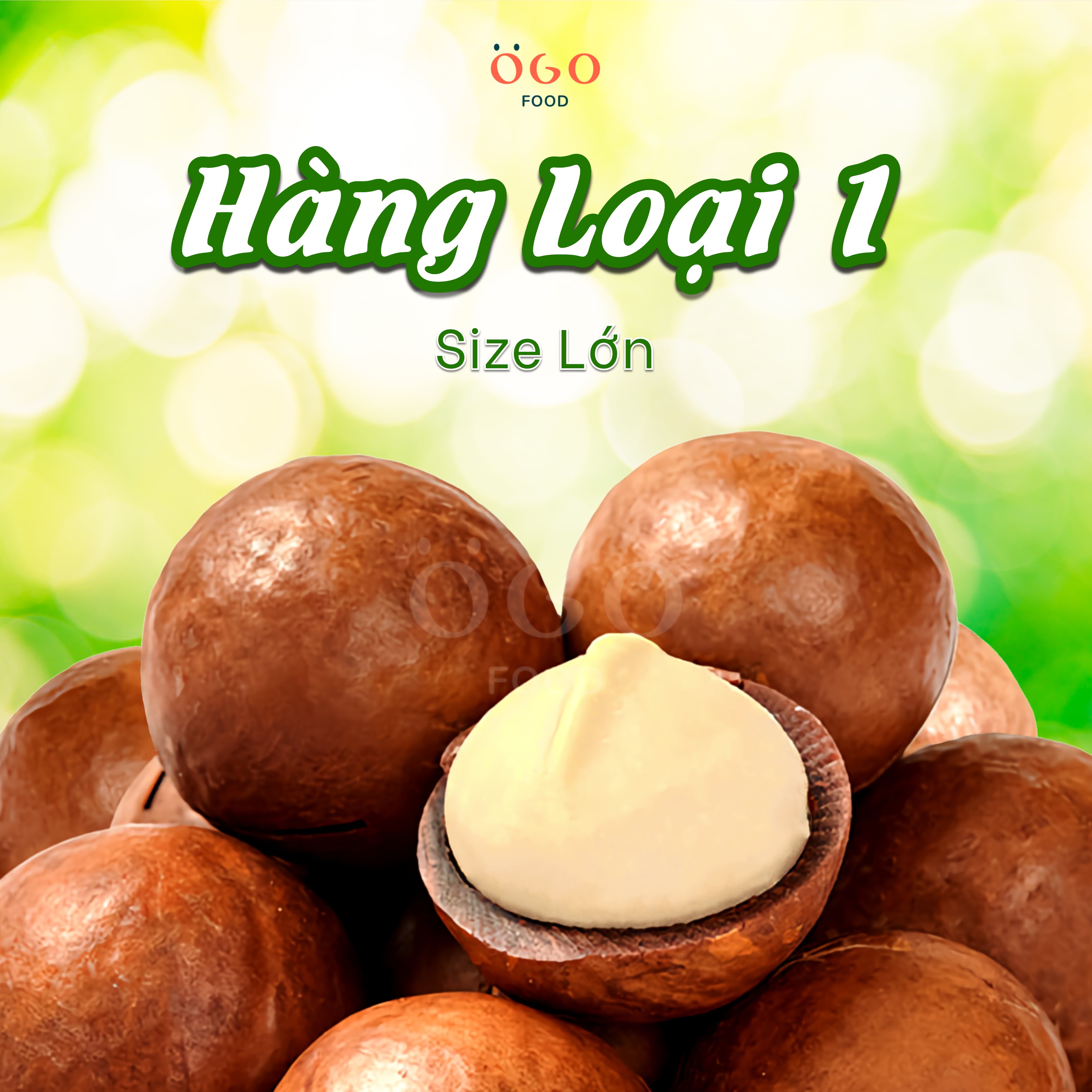 Hạt mắc ca nguyên vỏ sấy giòn tan - ogo food - 200g, 500g