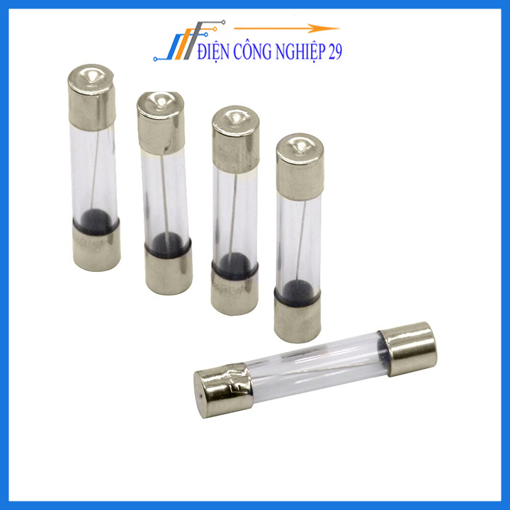 Cầu chì ống 6x30mm 250v