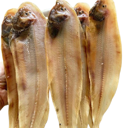 500gr khô cá lưỡi trâu loại trung đặc sản u minh cà màu - dày thịt -béo ngậy chế biến chiên xào bóp gỏi rất ngon