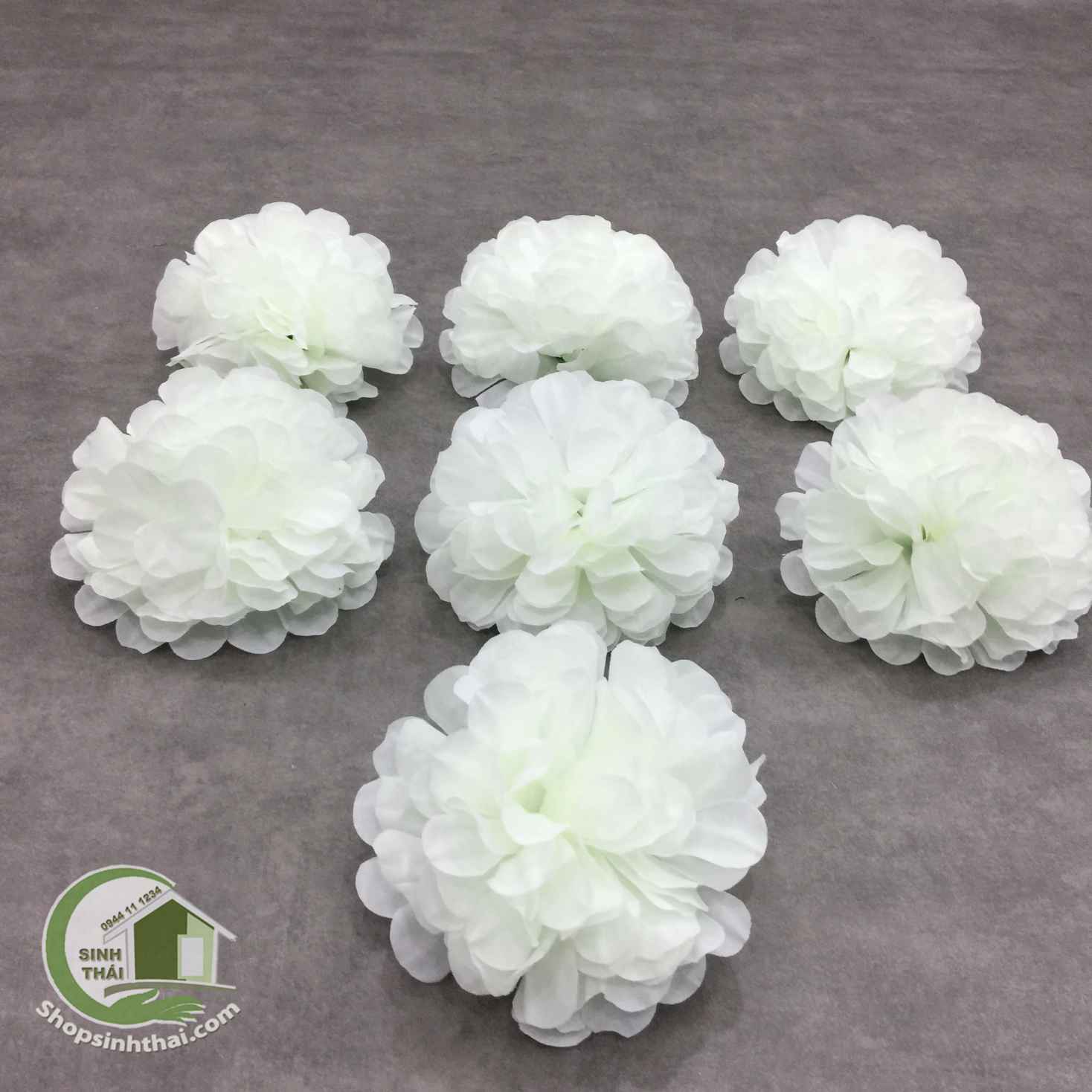 2 Bông hoa cẩm tú cầu màu trắng