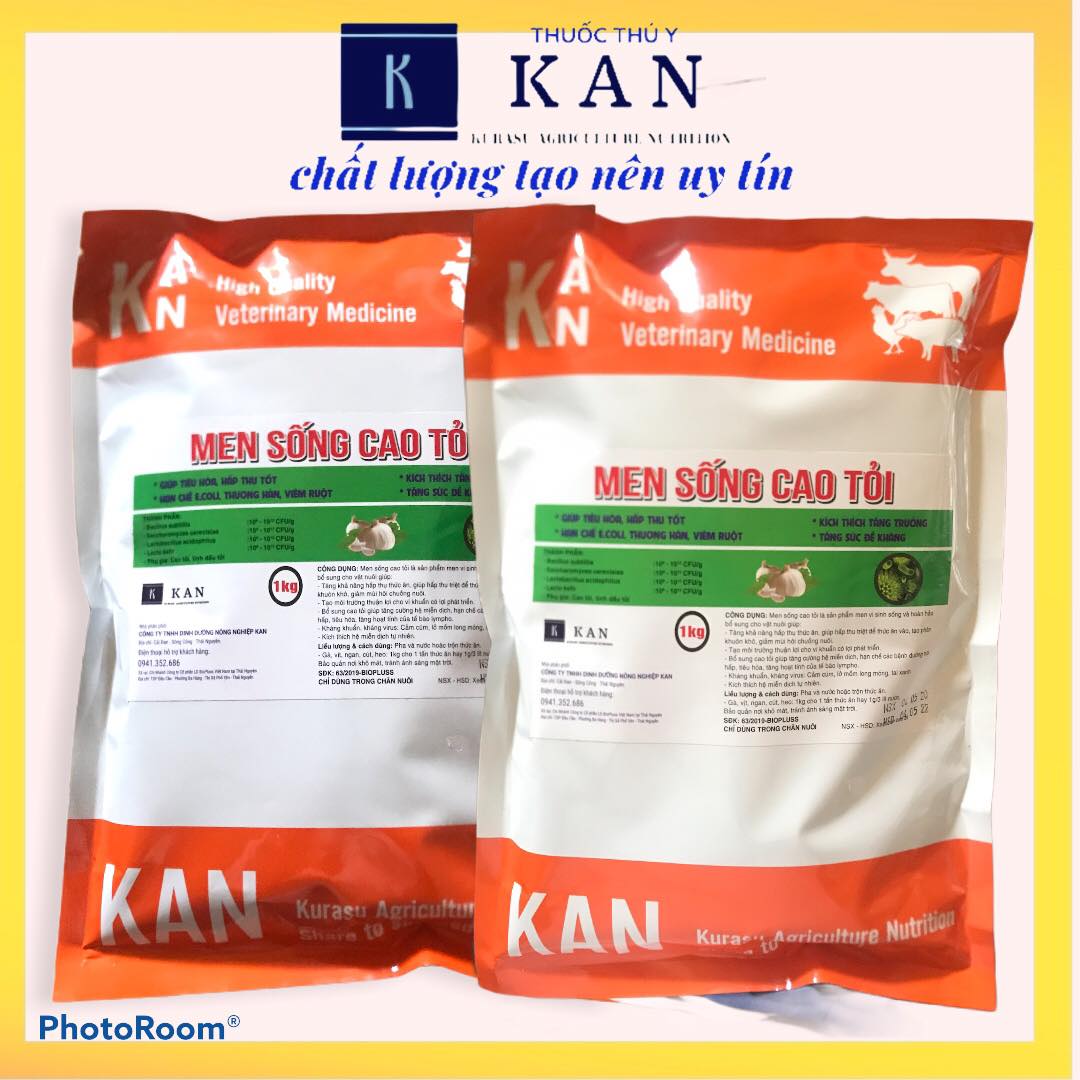 Men tiêu hóa cao cấp cao tỏi hạn chế tiêu chảy, tăng sức đề kháng và các bênh đường hô hấp cho gia súc gia cầm gói 1kg (mua 10 kg tặng 1kg)