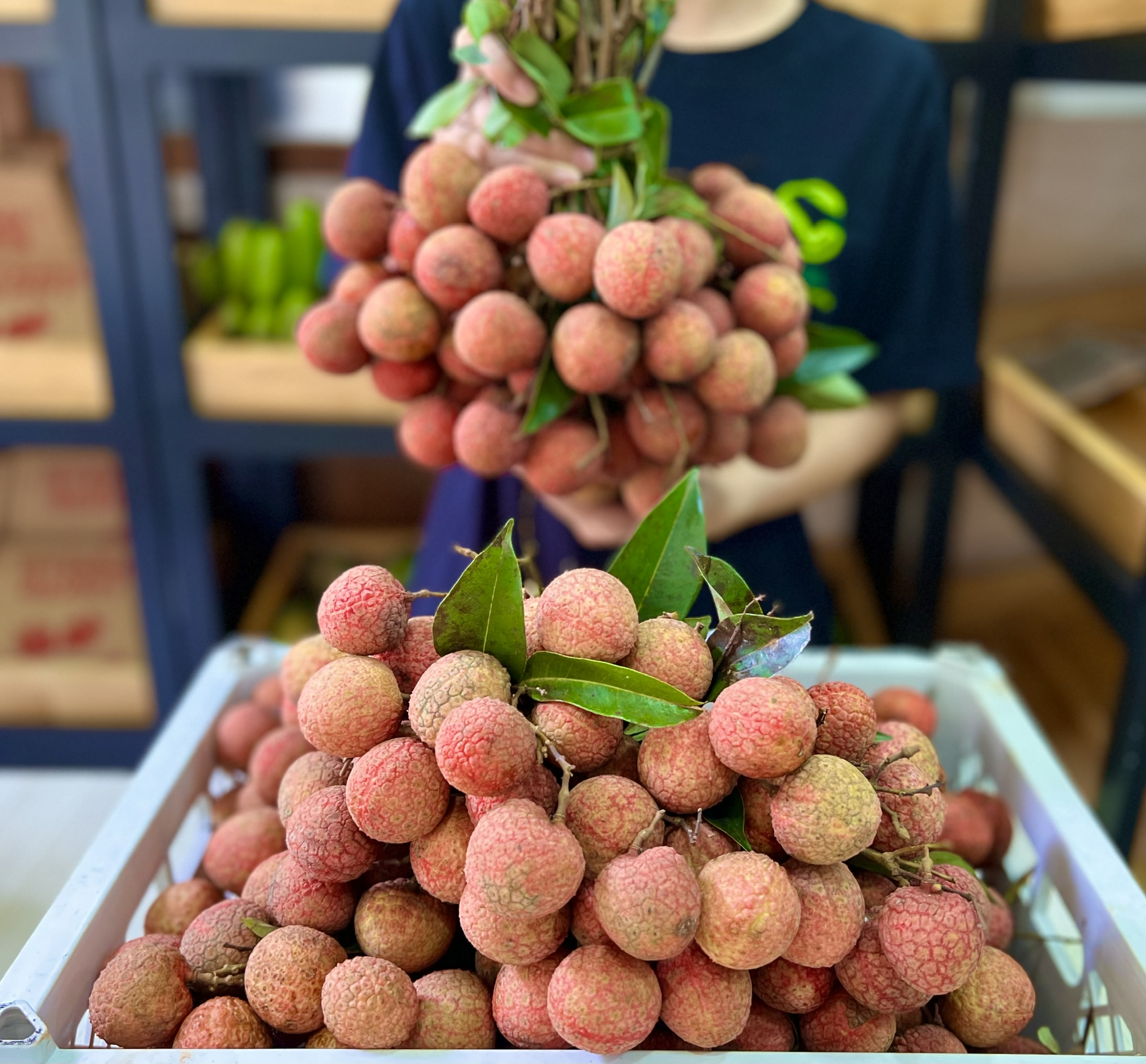 VG FARM Vải Thiều Lục Ngạn Bắc Giang - Vỏ mỏng, cơm giày, ngon ngọt