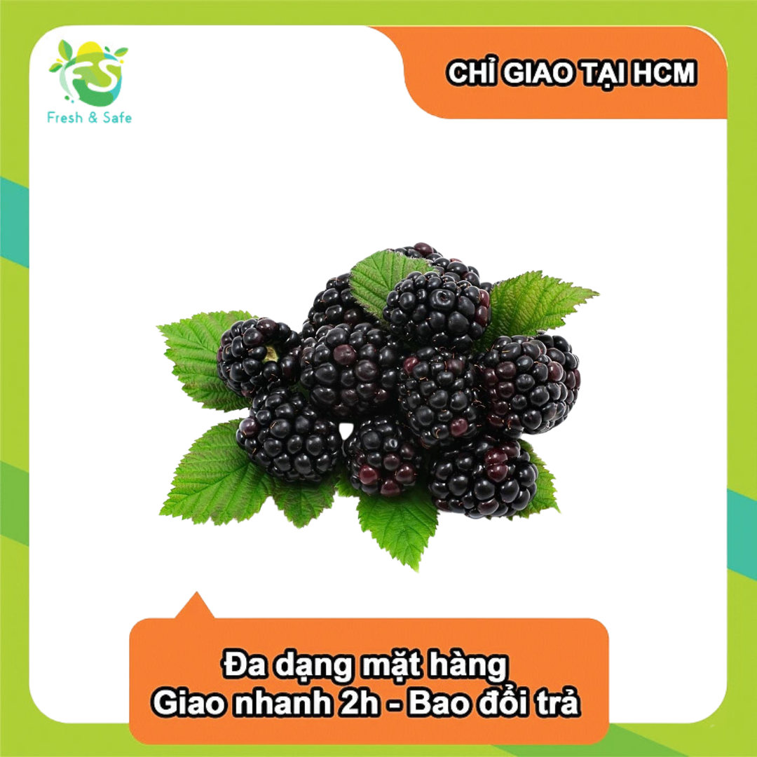 [Chỉ Giao HCM] Phúc Bồn Tử Đen Blackberry - hộp 170g