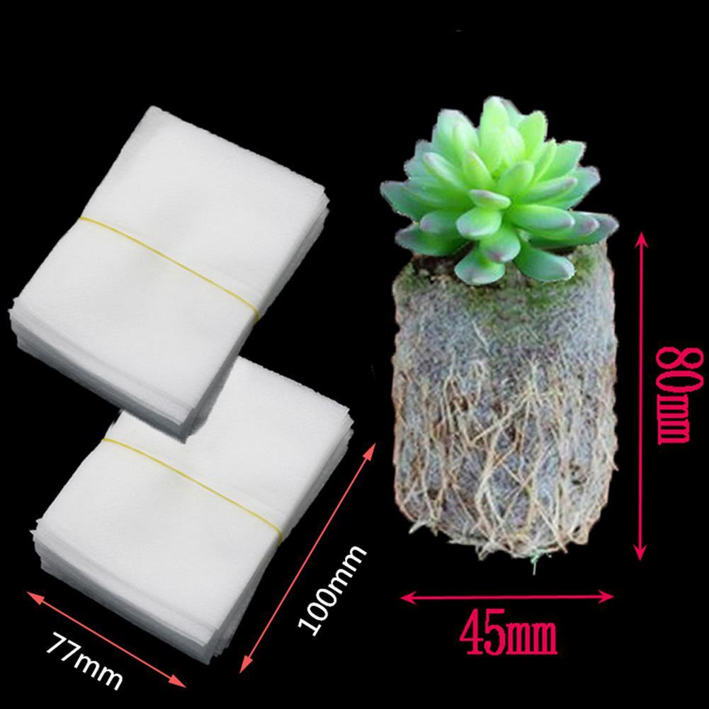 Bầu ươm cây tự tiêu - combo 200 túi - Sản phẩm uy tín chất lượng - mua ngay