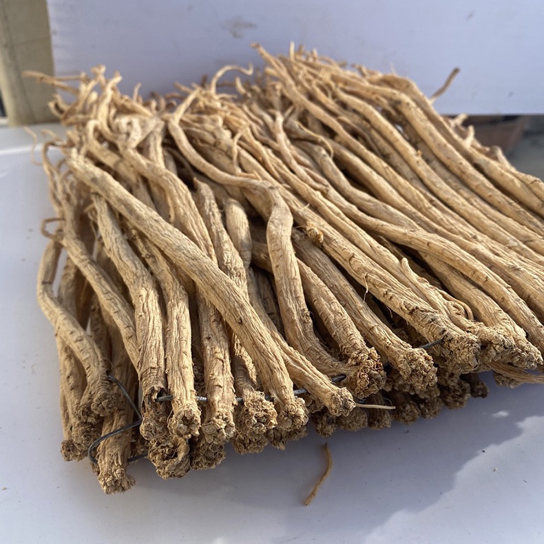 Đẳng sâm khô 100gr - hầm canh, nấu trà, bồi bổ cơ thể