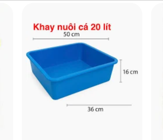 Khay nhựa 20 lít Xanh - Vàng - Trắng 50 cm x 36 cm x 16 cm