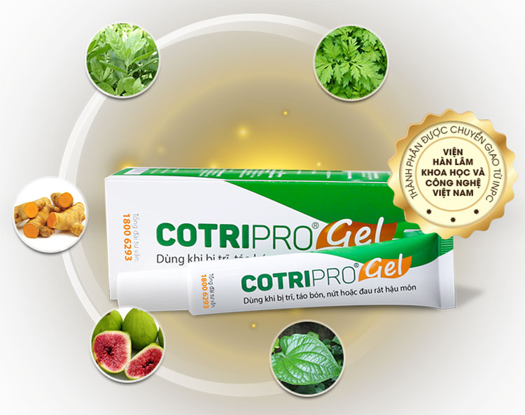 Cotripro gel bôi trĩ 25g