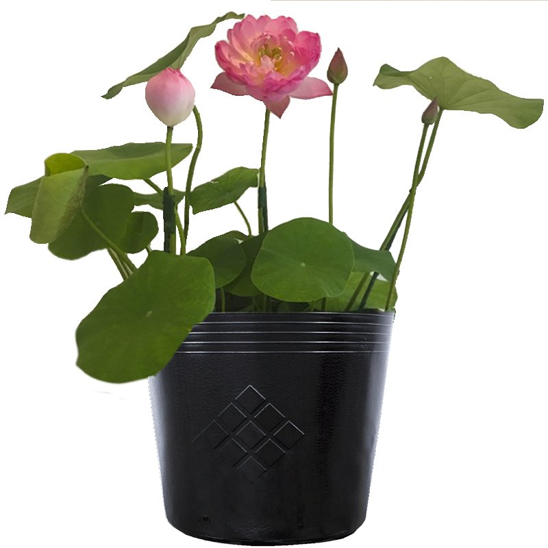 [HCM]25 Chậu 25x21x21cm nhựa PE dẻo trồng cây bền từ 5 đến 10 năm-77304